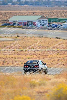 media/Nov-16-2024-Extreme Speed (Sat) [[6587d07cc4]]/Gold Group/Session 1 (Turn 2)/